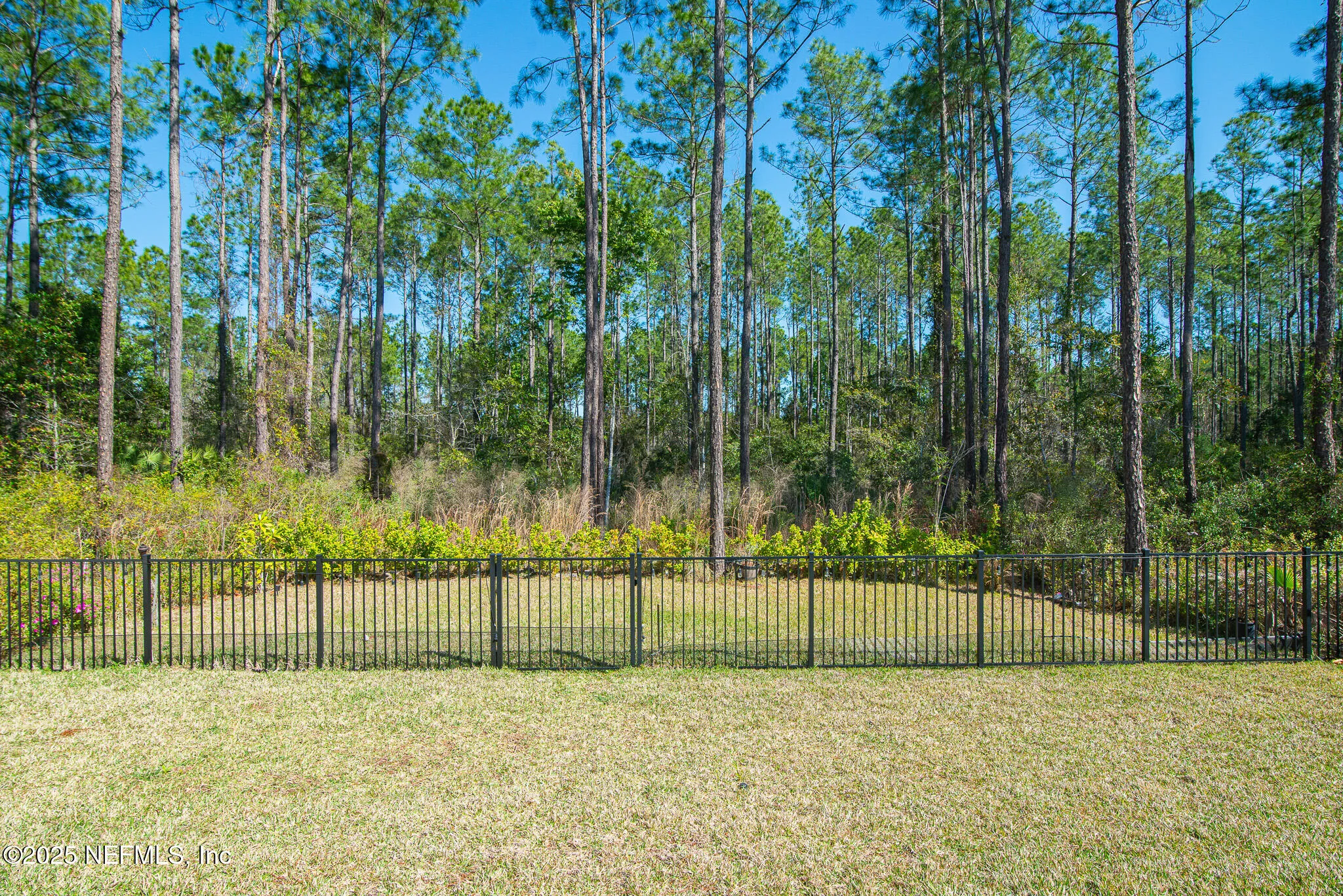 St Augustine, Florida 32092, United States, 4 Bedrooms Bedrooms, ,3 BathroomsBathrooms,Residential,Active,87754