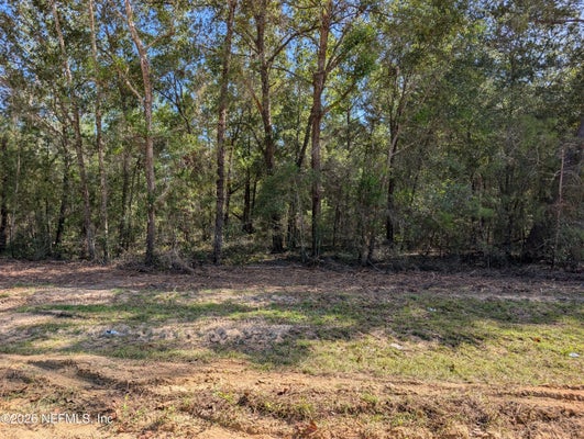 0 CARDINAL STREET, INTERLACHEN, FL 32148 - Image 91bf3d6cb50ebec66d26d0cd786aa892/2681243712