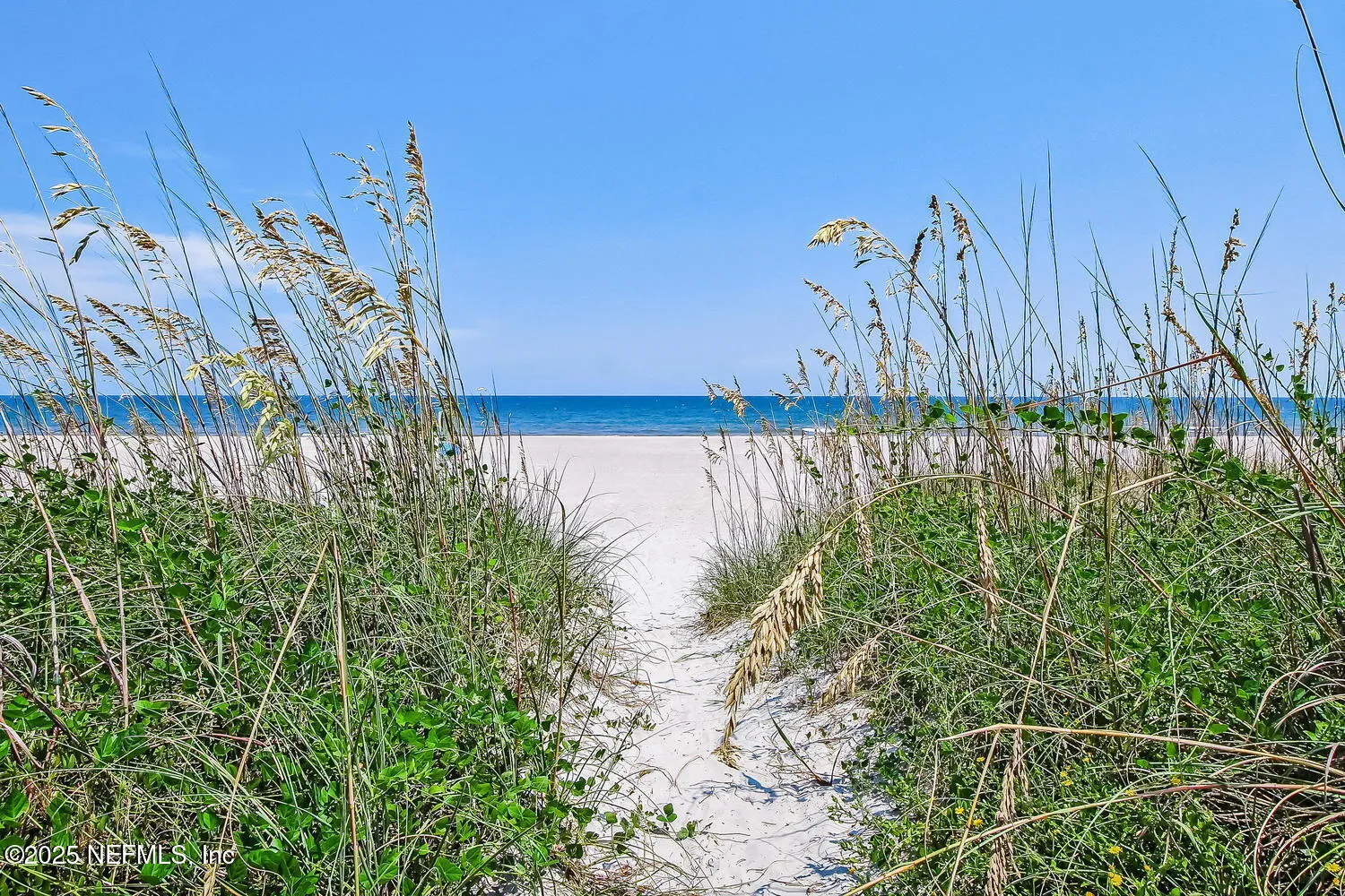 Fernandina Beach, Florida 32034, United States, 6 Bedrooms Bedrooms, ,5 BathroomsBathrooms,Residential,Active,239908