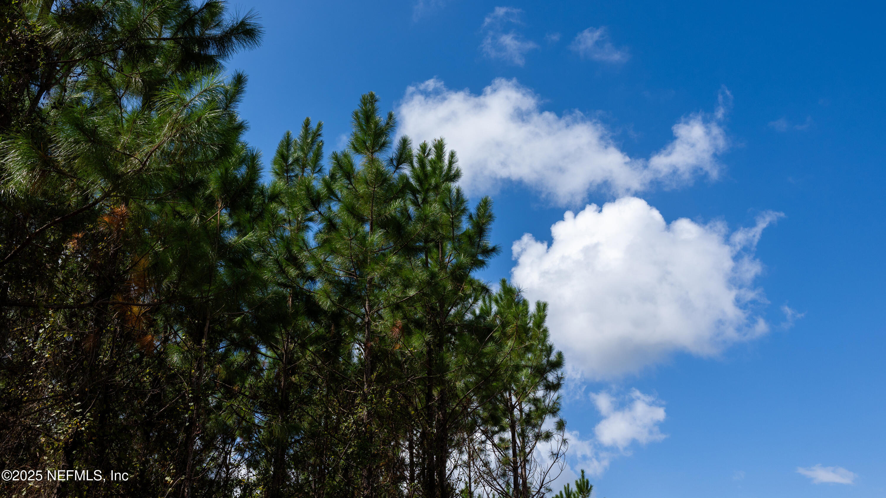 LOT 13 SW COUNTY ROAD 225