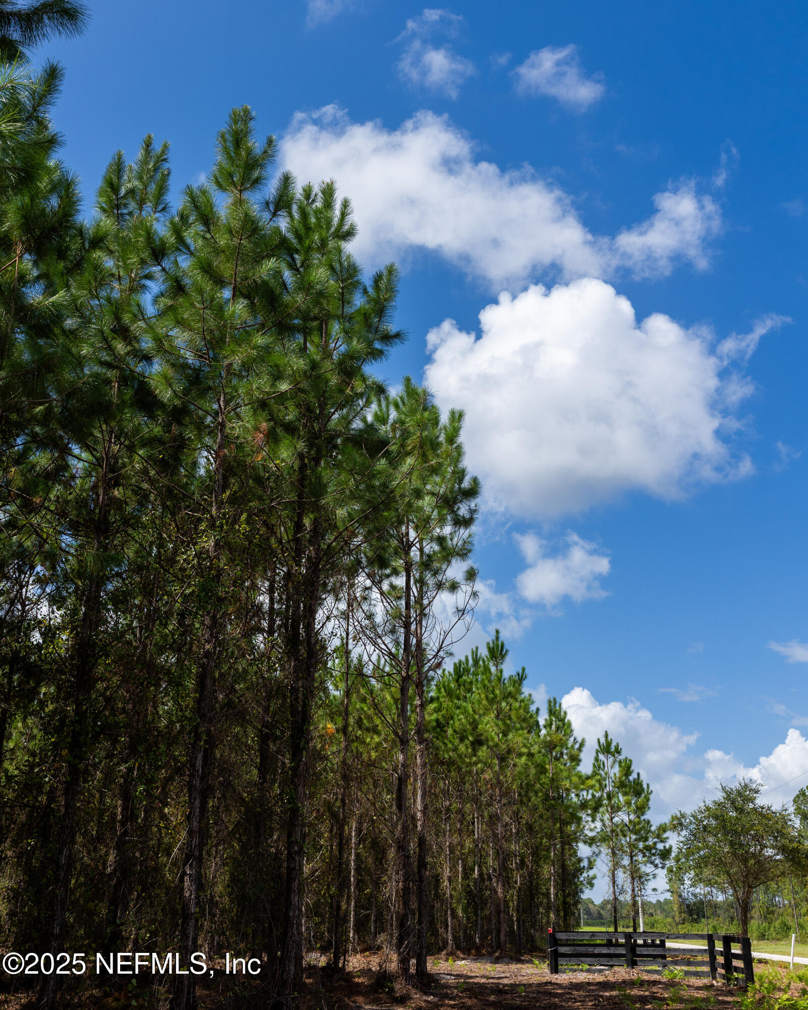 LOT 13 SW COUNTY ROAD 225