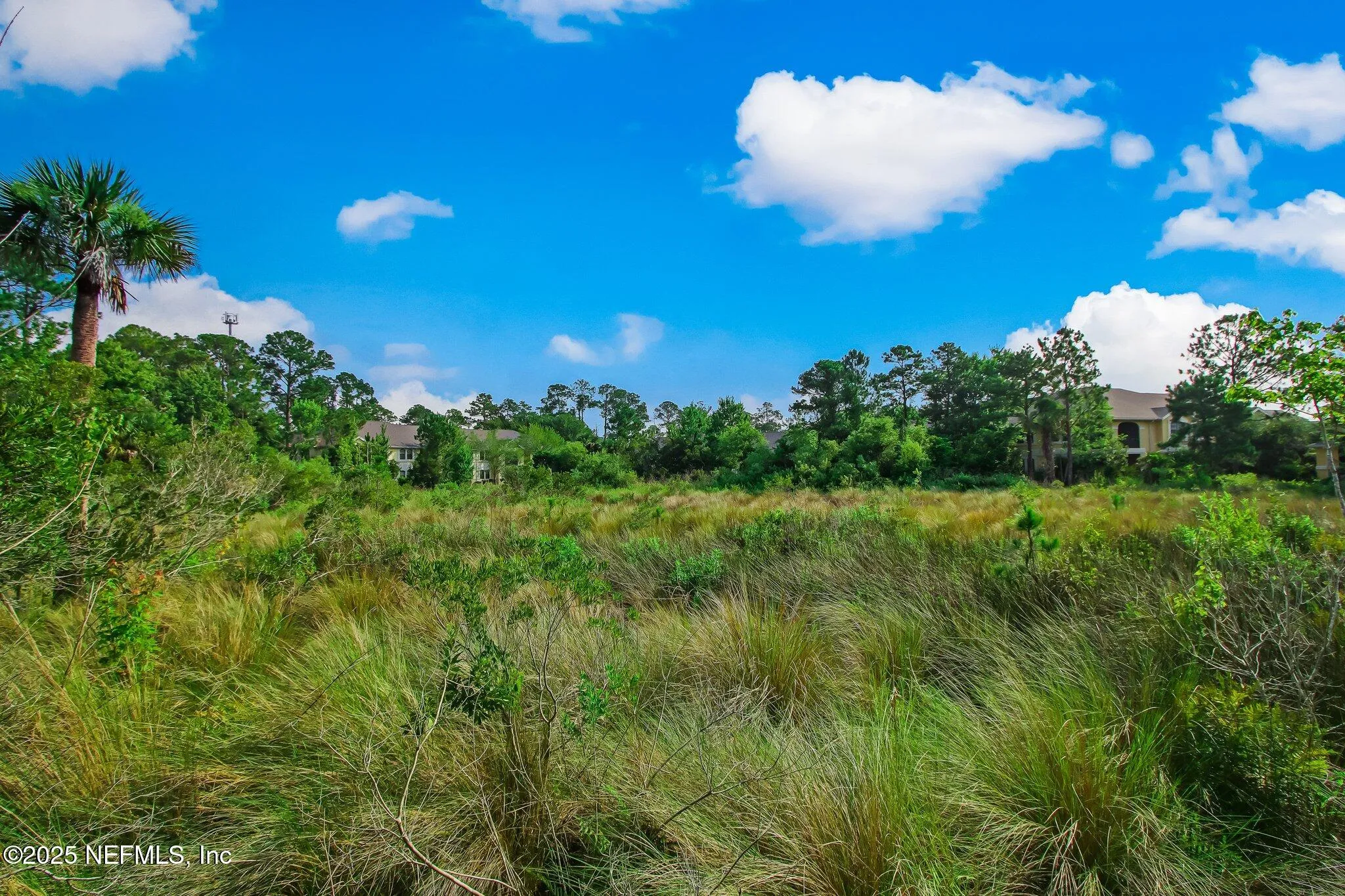 St Augustine, Florida 32084, United States, 3 Bedrooms Bedrooms, ,2 BathroomsBathrooms,Residential,Active,80562