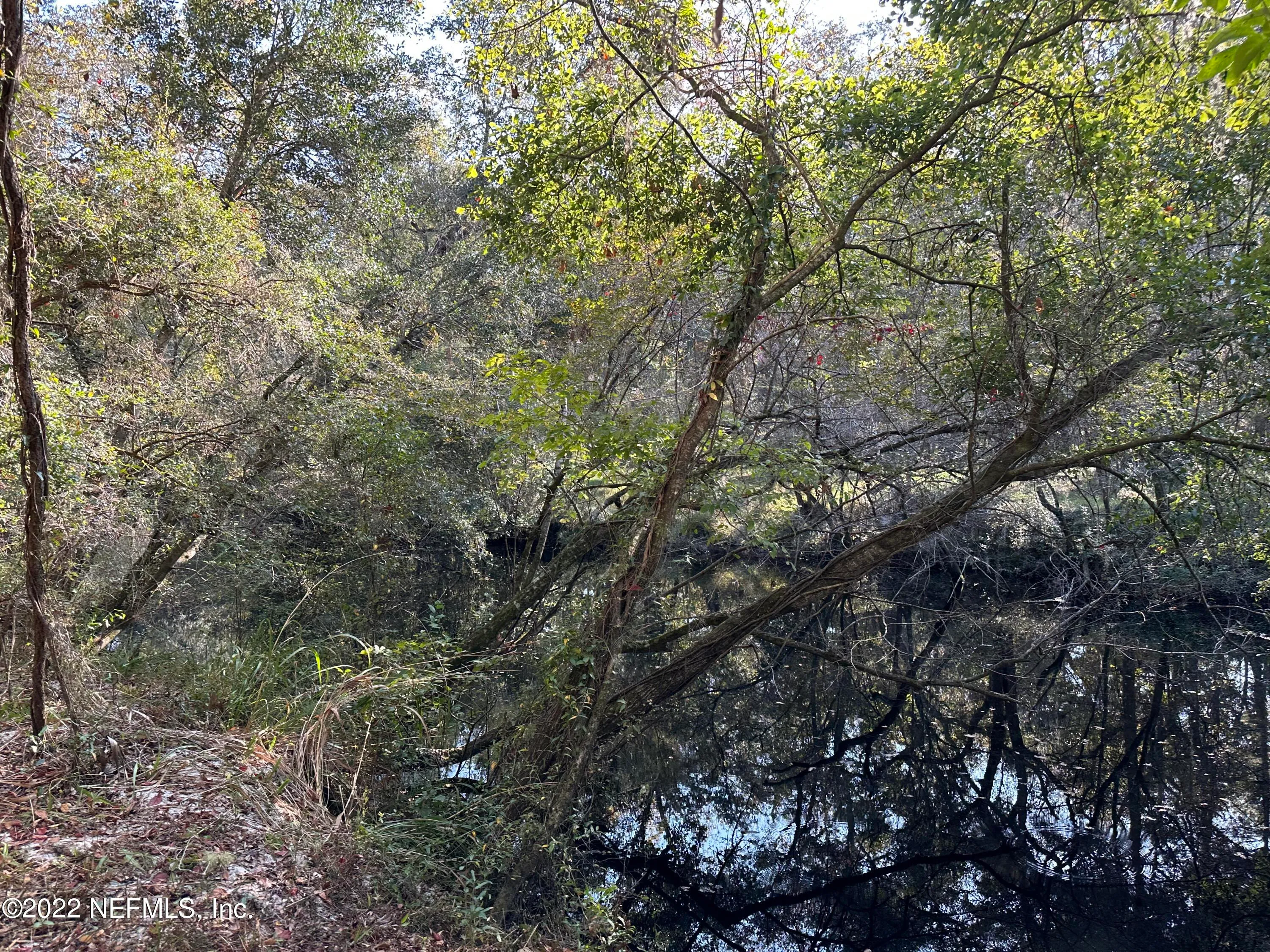 Foxtail Avenue, Middleburg, Florida, 32068, United States, ,Land,Active,Foxtail Avenue,1667184