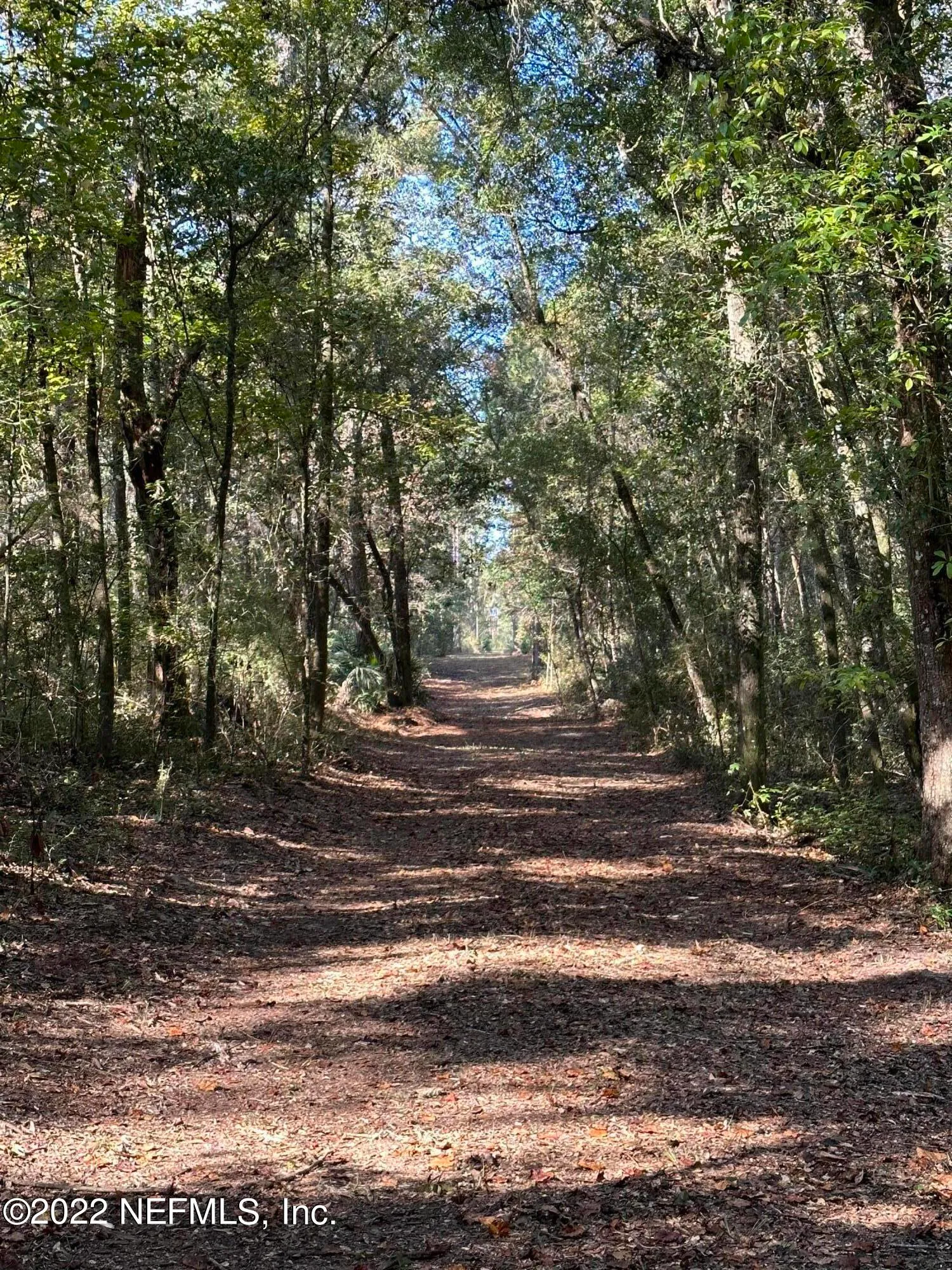 Foxtail Avenue, Middleburg, Florida, 32068, United States, ,Land,Active,Foxtail Avenue,1667184