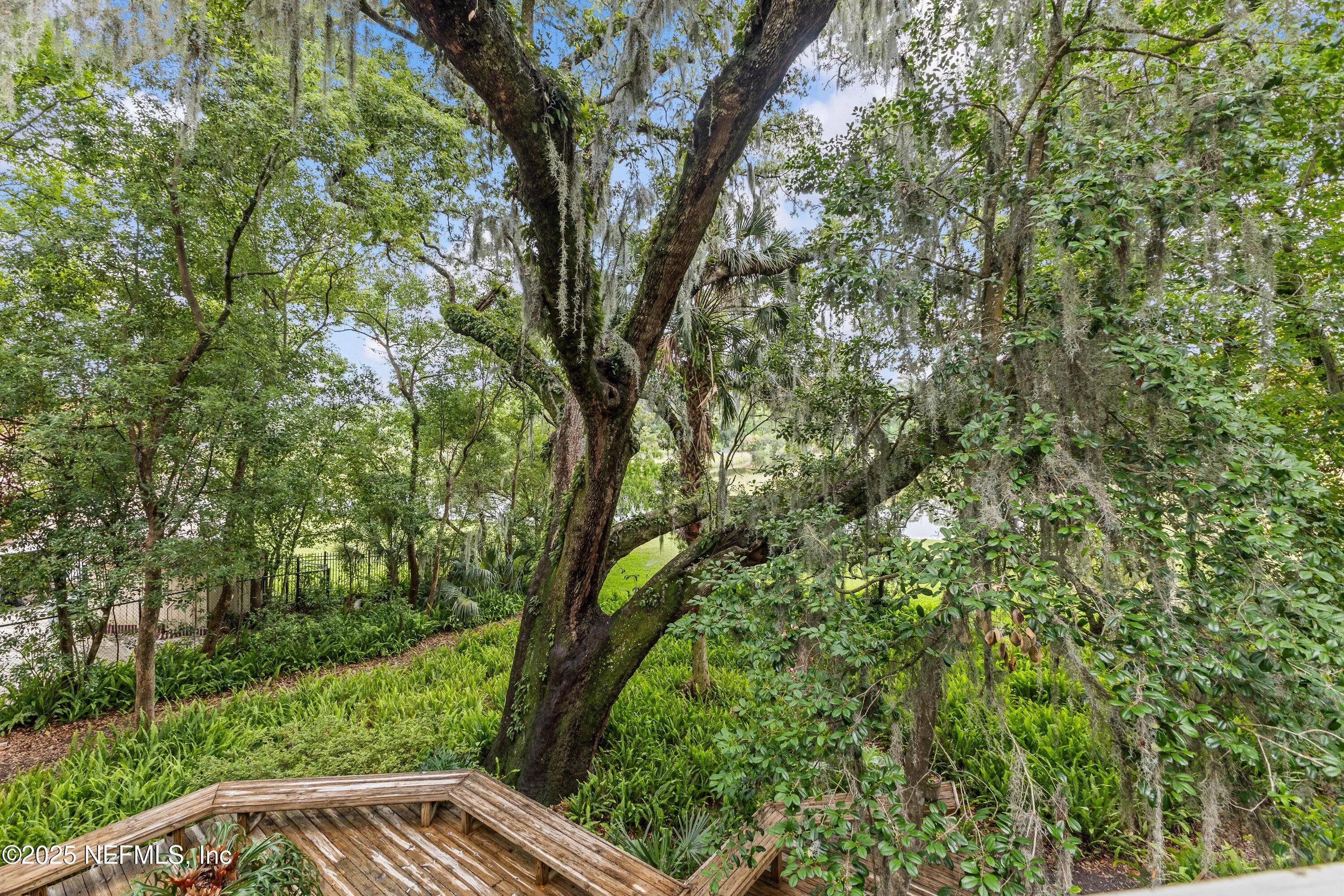 Jacksonville, Florida 32211, United States, 4 Bedrooms Bedrooms, ,3 BathroomsBathrooms,Residential,Active,146930