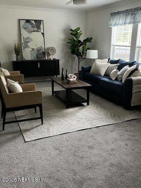 540316 LEM TURNER Road