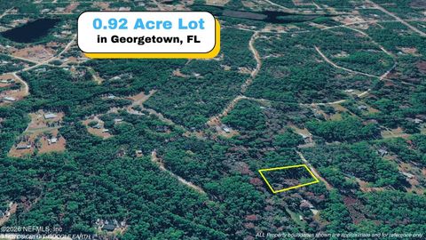 102 HYACINTH Court Georgetown FL 32139