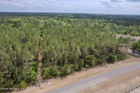 Photo of 14062 DUNROVEN Drive, Bryceville, FL 32009 (MLS # 2143793)