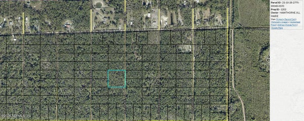 0 DILLON AVENUE, HASTINGS, FL 32145 - Image 97b8a2c5aacc2e08d3dd5cfbd16f11ad/1801364918