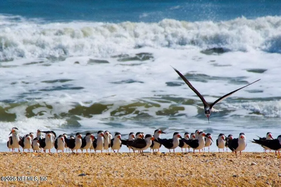 Ponte Vedra Beach, Florida, 32082, United States, 4 Bedrooms Bedrooms, ,4 BathroomsBathrooms,Residential,Active,1998095