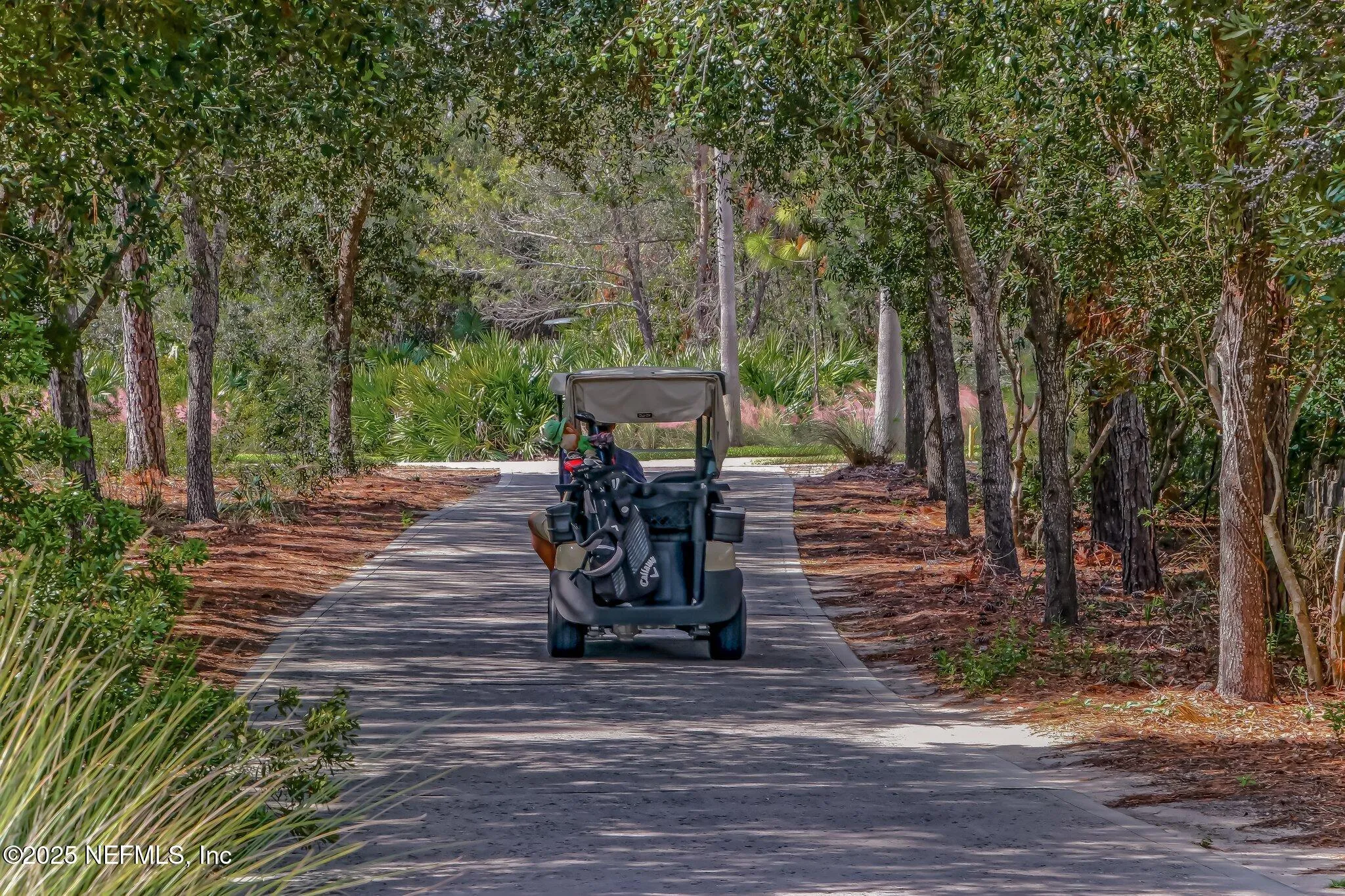 St. Augustine, Florida, 32095, United States, 3 Bedrooms Bedrooms, ,4 BathroomsBathrooms,Residential,Active,2001315