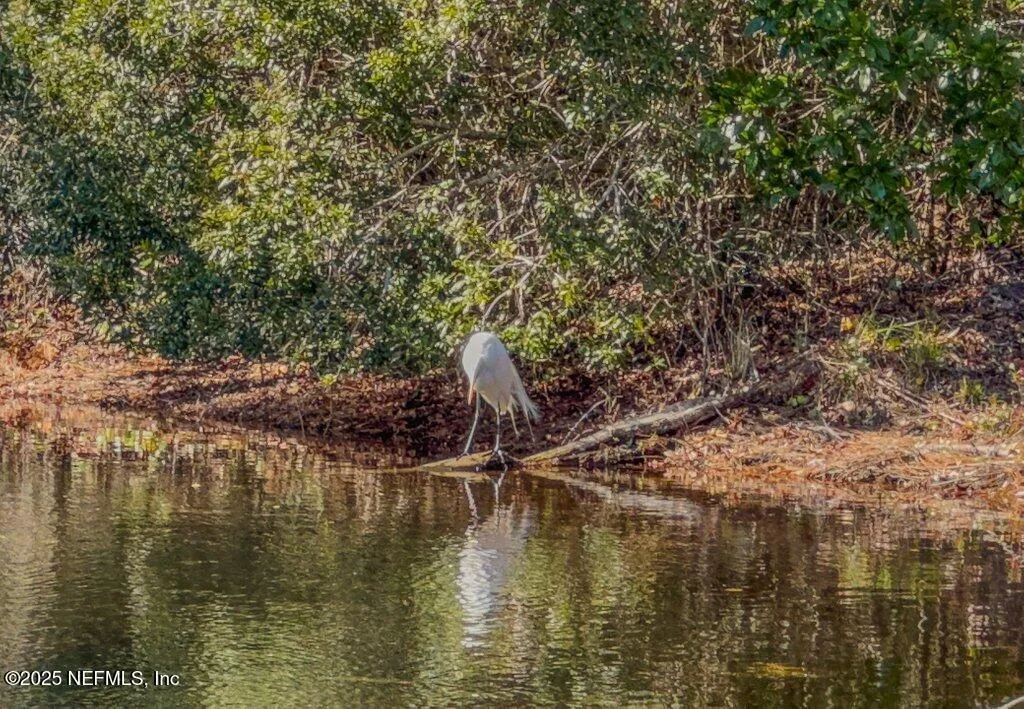 St Johns, Florida 32259, United States, 2 Bedrooms Bedrooms, ,3 BathroomsBathrooms,Residential,Pending,13891