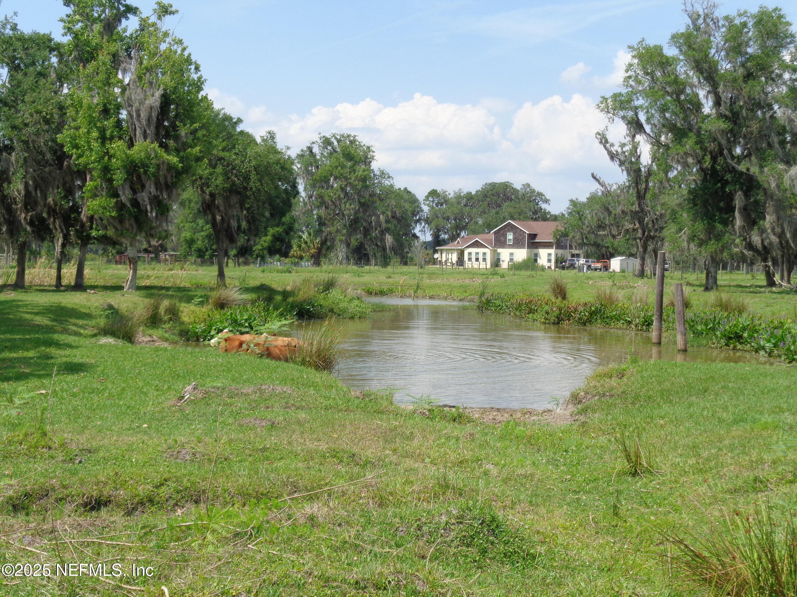 TBD BARREL FACTORY Road