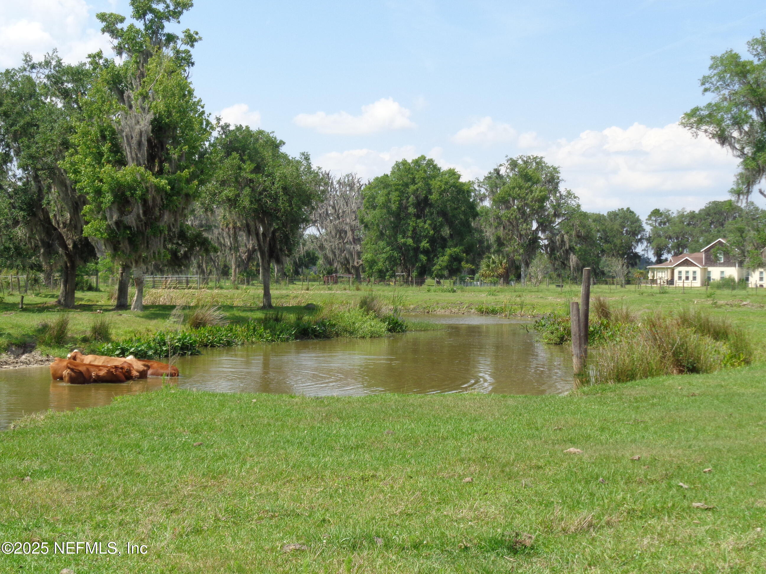 TBD BARREL FACTORY Road