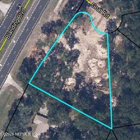 Photo of 2622 GOAT Road, Middleburg, FL 32068 (MLS # 2145847)