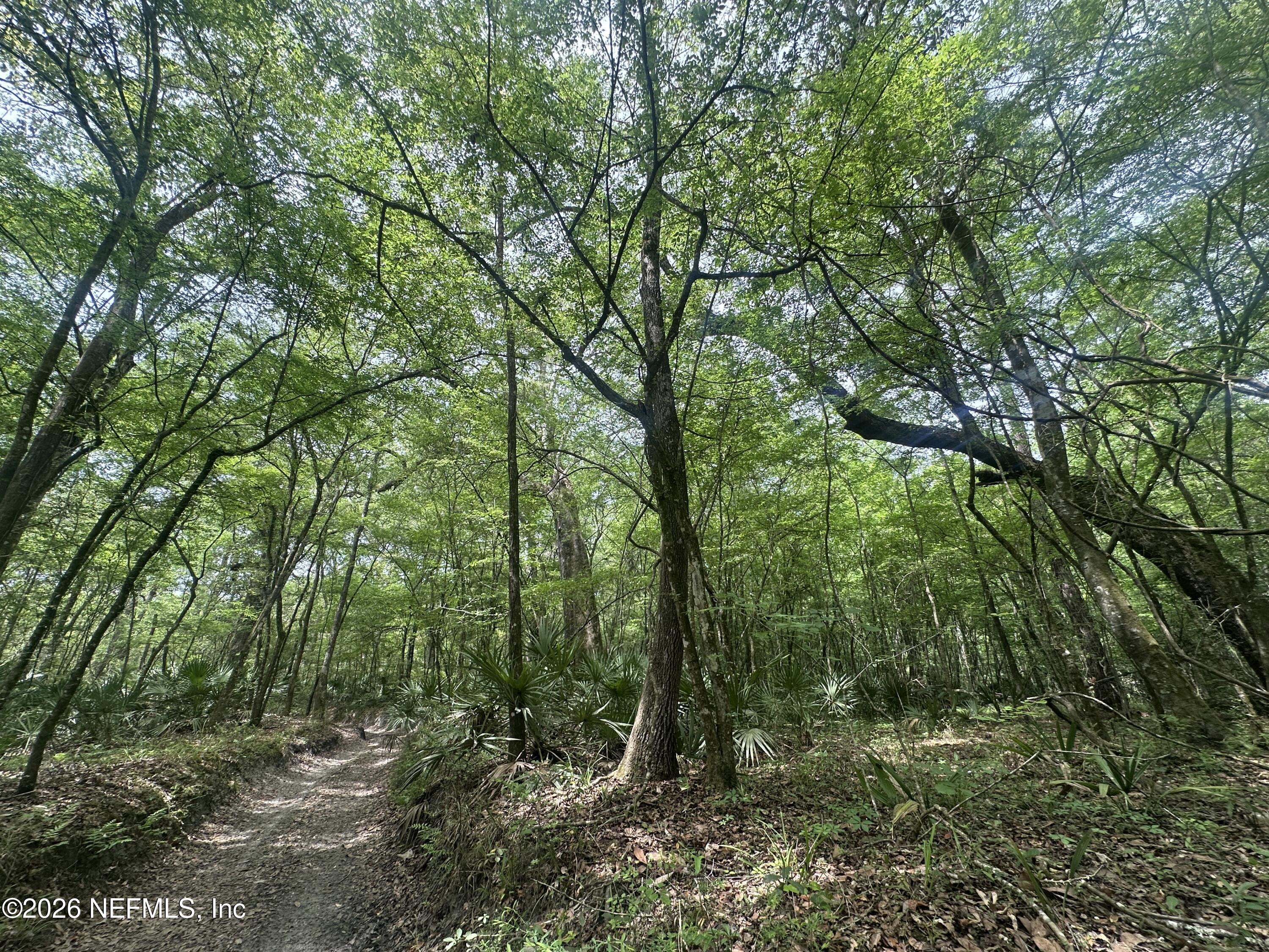 000 BLACK CREEK Drive