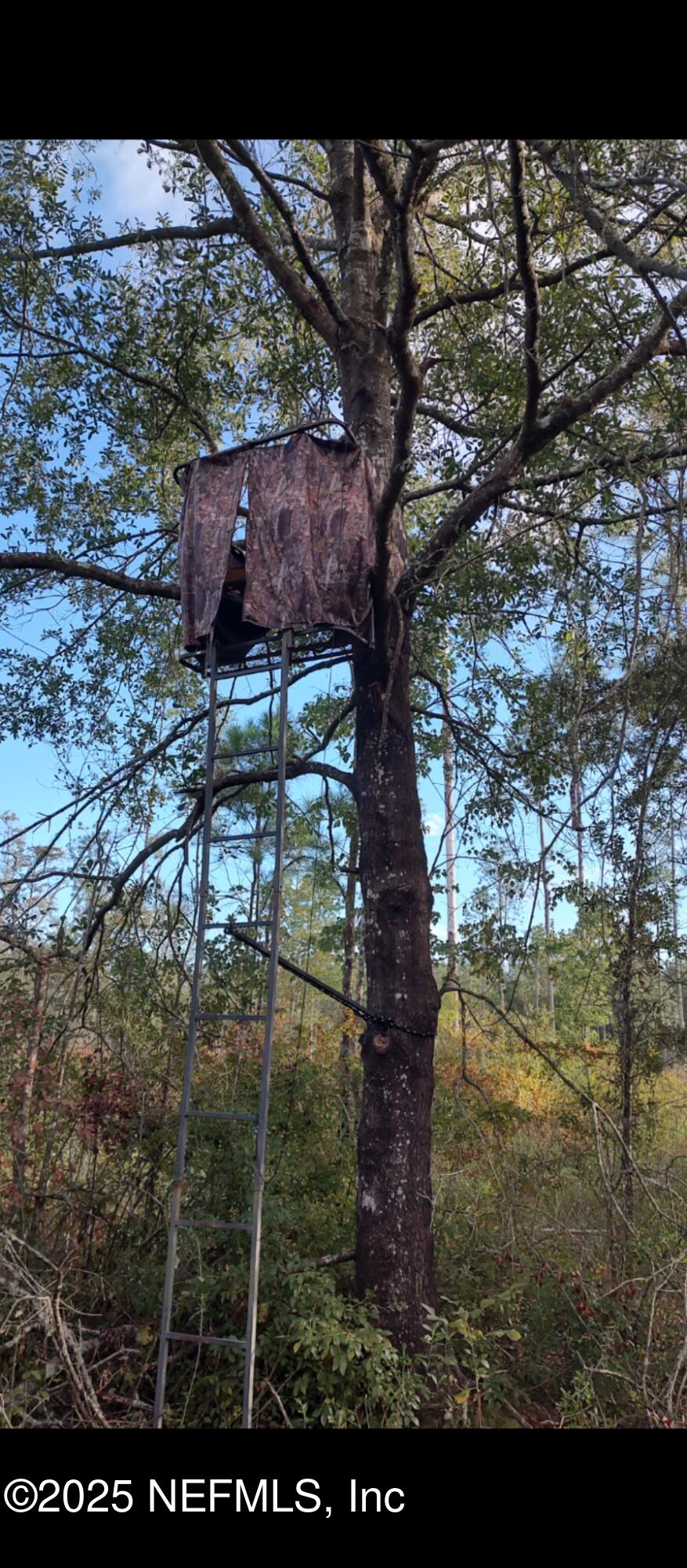 1757 WHIPPOORWILL Lane