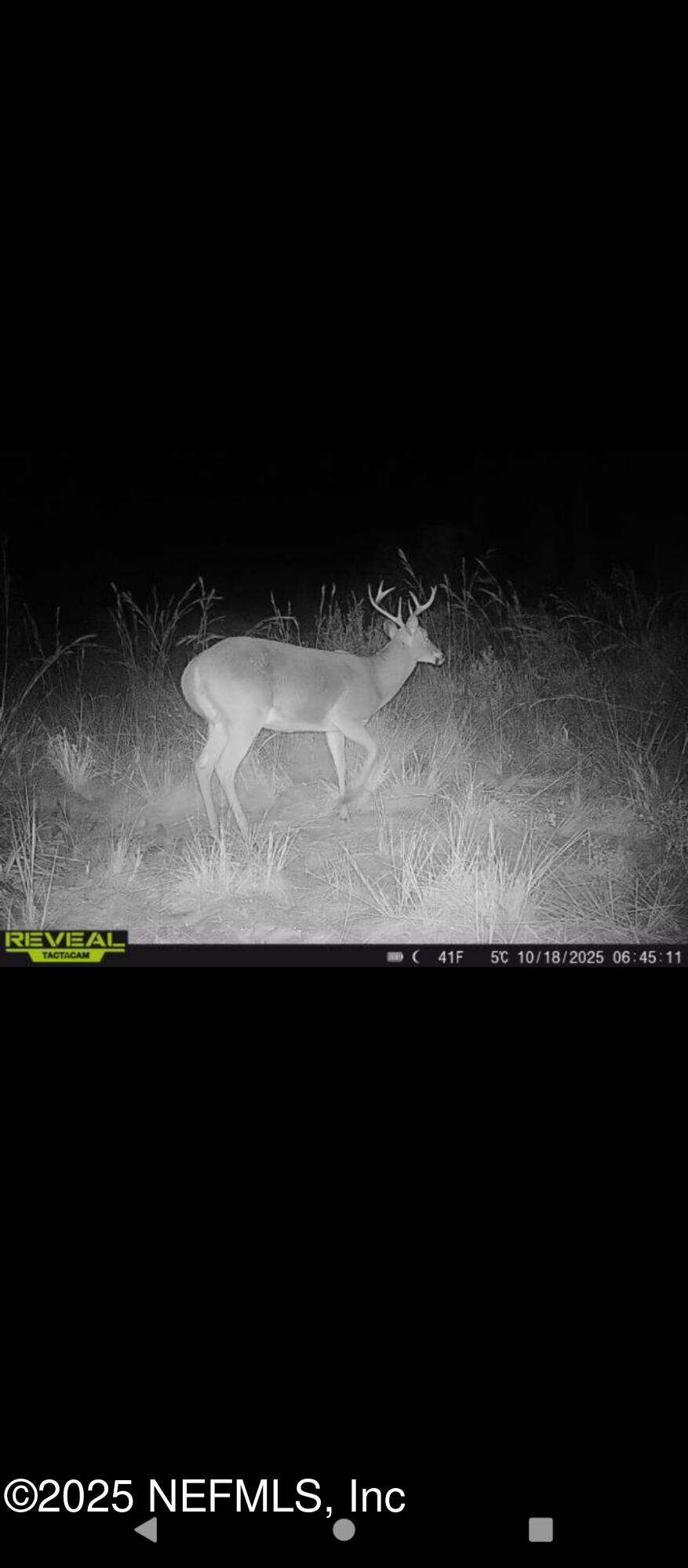 1757 WHIPPOORWILL Lane