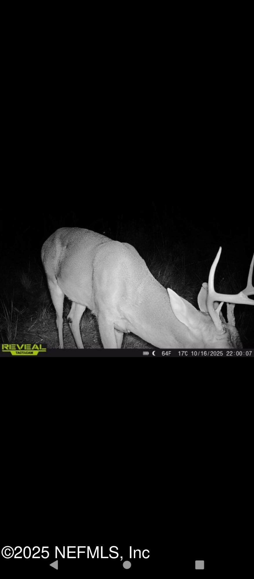 1757 WHIPPOORWILL Lane