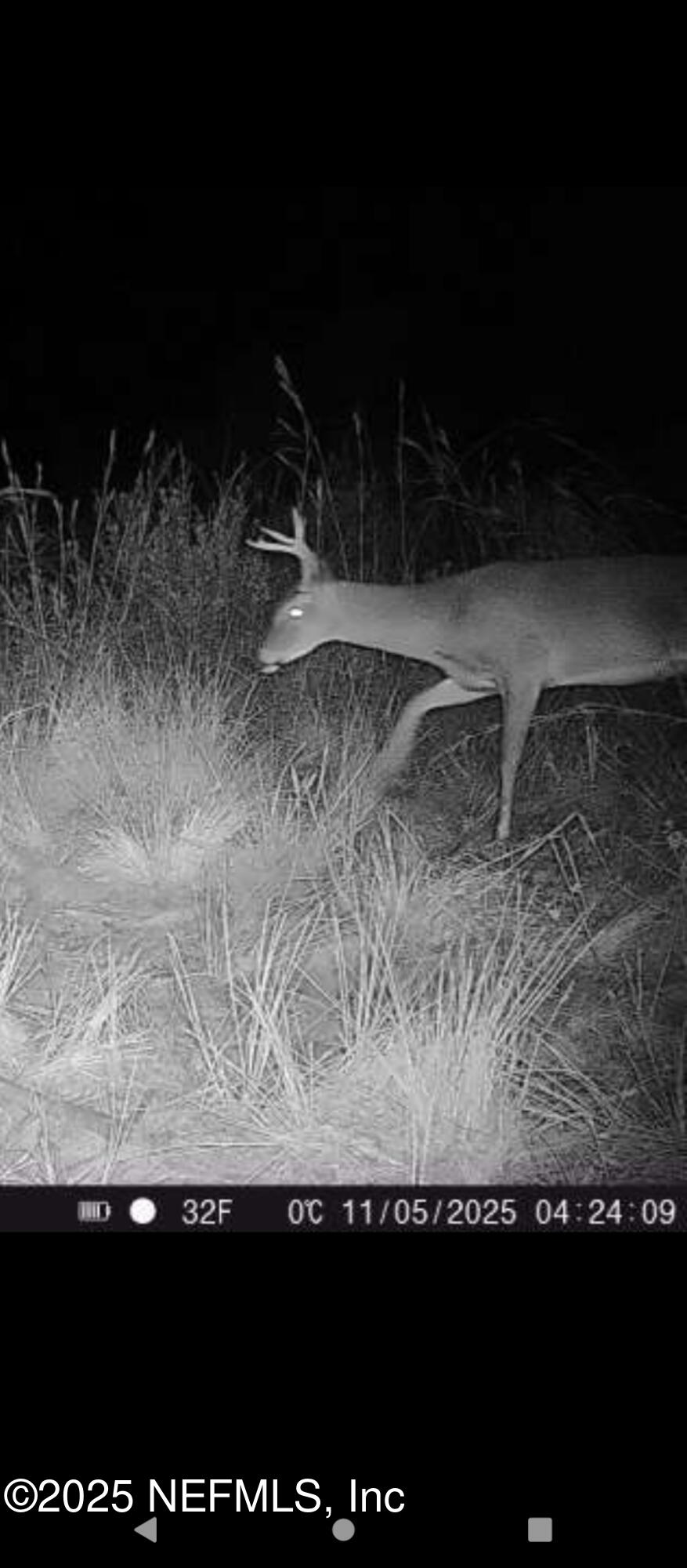 1757 WHIPPOORWILL Lane