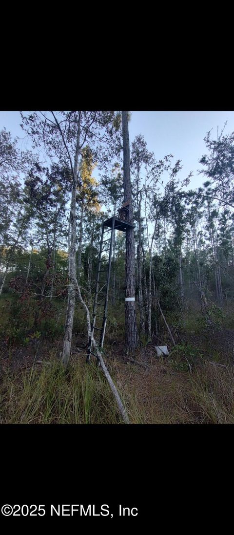 1757 WHIPPOORWILL Lane Glen St. Mary FL 32040