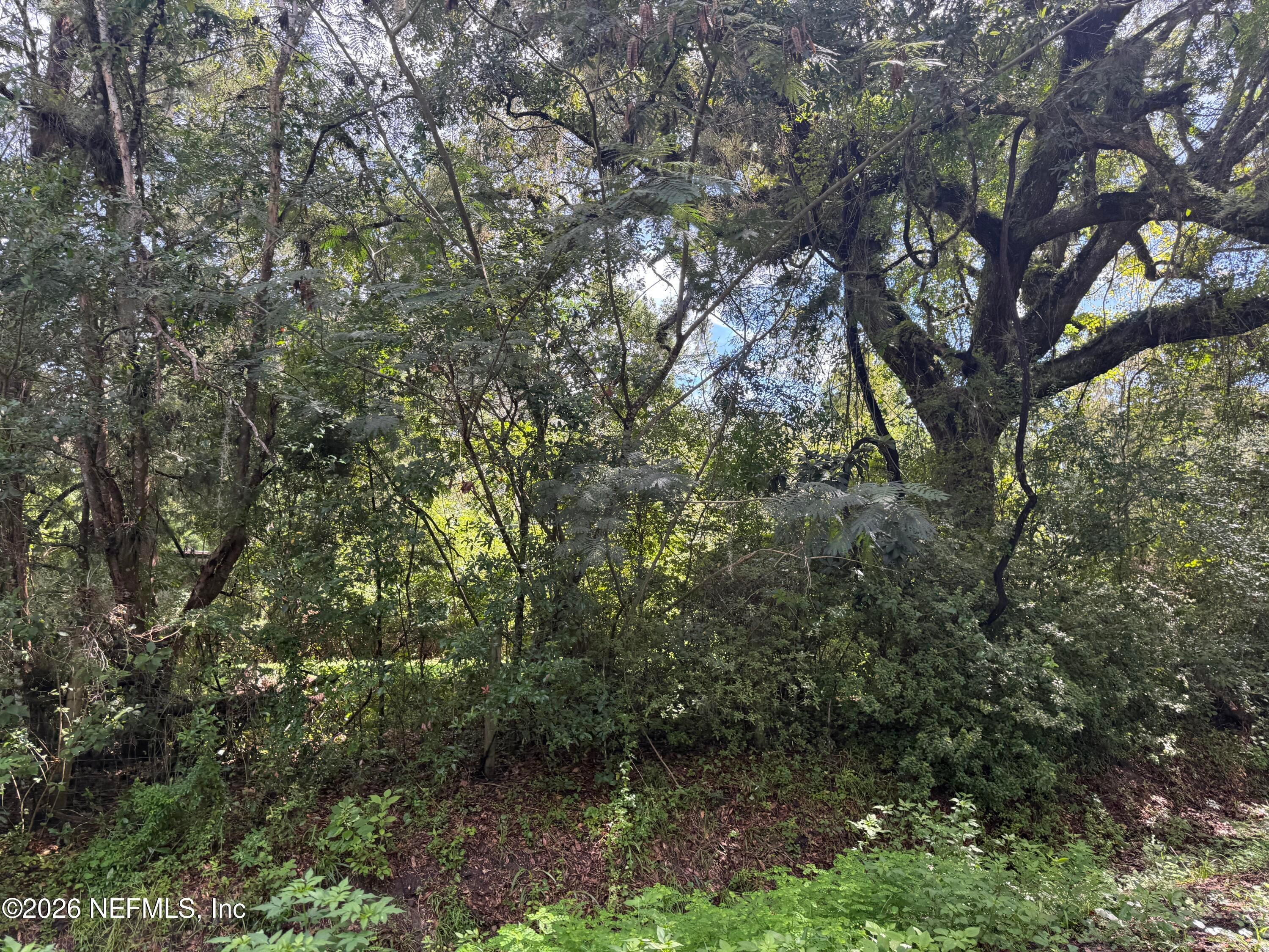 56063 NASSAU OAKS Drive