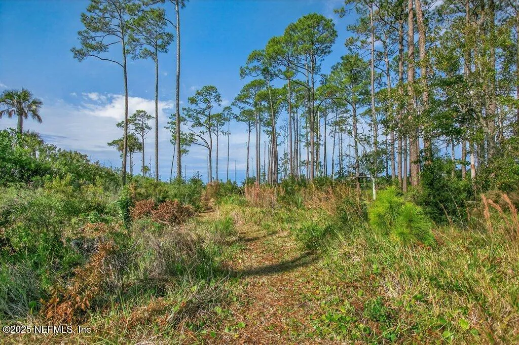 Jacksonville Beach, Florida, 32250, United States, 4 Bedrooms Bedrooms, ,2 BathroomsBathrooms,Residential,Active,2001601