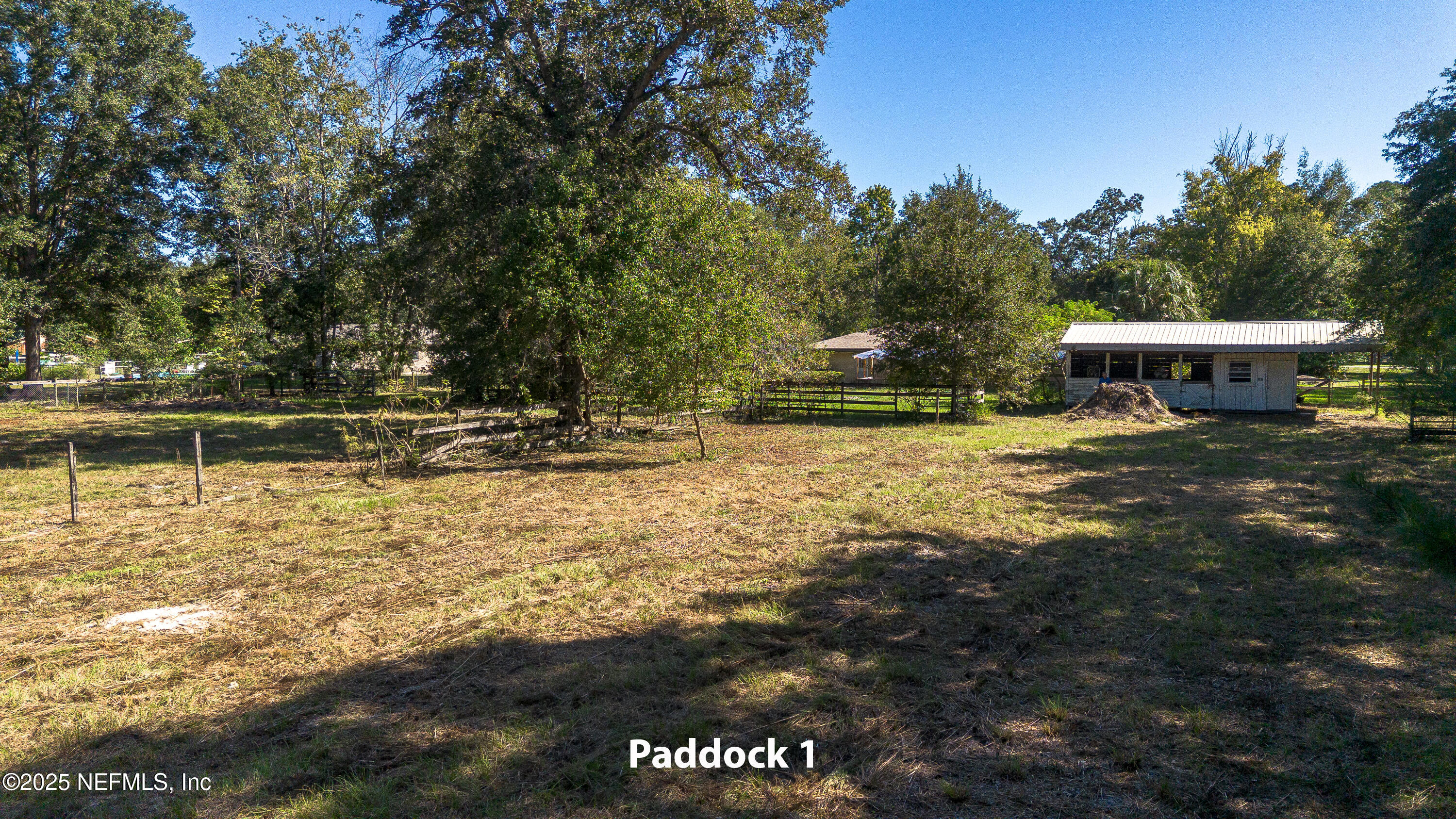 4121 SADDLEHORN Trail