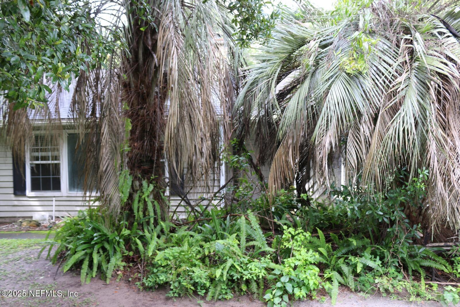 523 PINE FOREST Drive