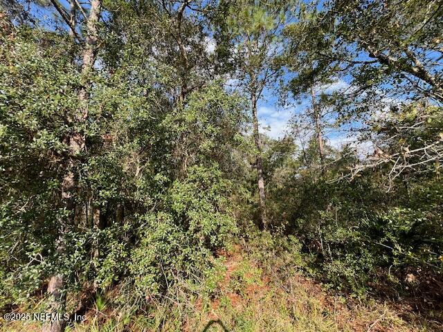 95001 DIRT Road
