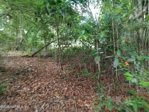 Photo of 75427 JOHNSON LAKE Road, Yulee, FL 32097 (MLS # 2153028)