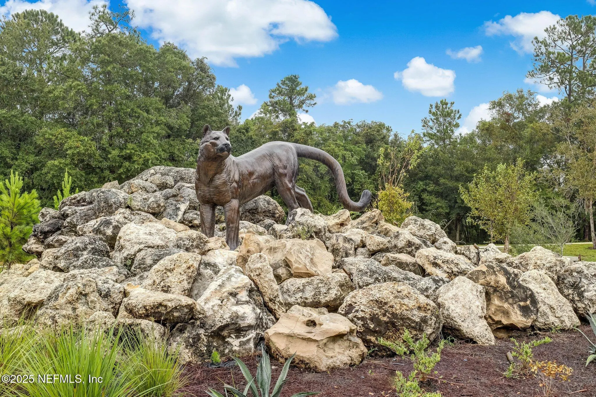 Jacksonville, Florida 32221, United States, 3 Bedrooms Bedrooms, ,3 BathroomsBathrooms,Residential,Active,85900