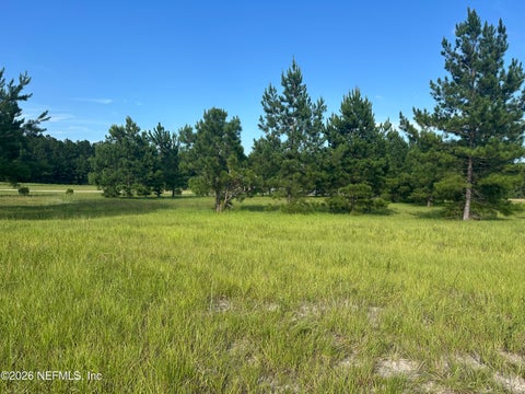 Photo of 45676 MUSSLEWHITE Road, Callahan, FL 32011 (MLS # 2156731)