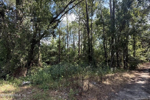 Photo of 0 DANA Drive, Jacksonville, FL 32258 (MLS # 2166082)