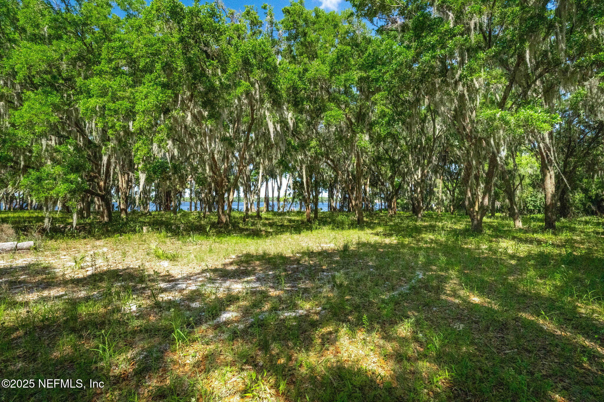 766 NATIONAL FOREST ROAD 75G Road