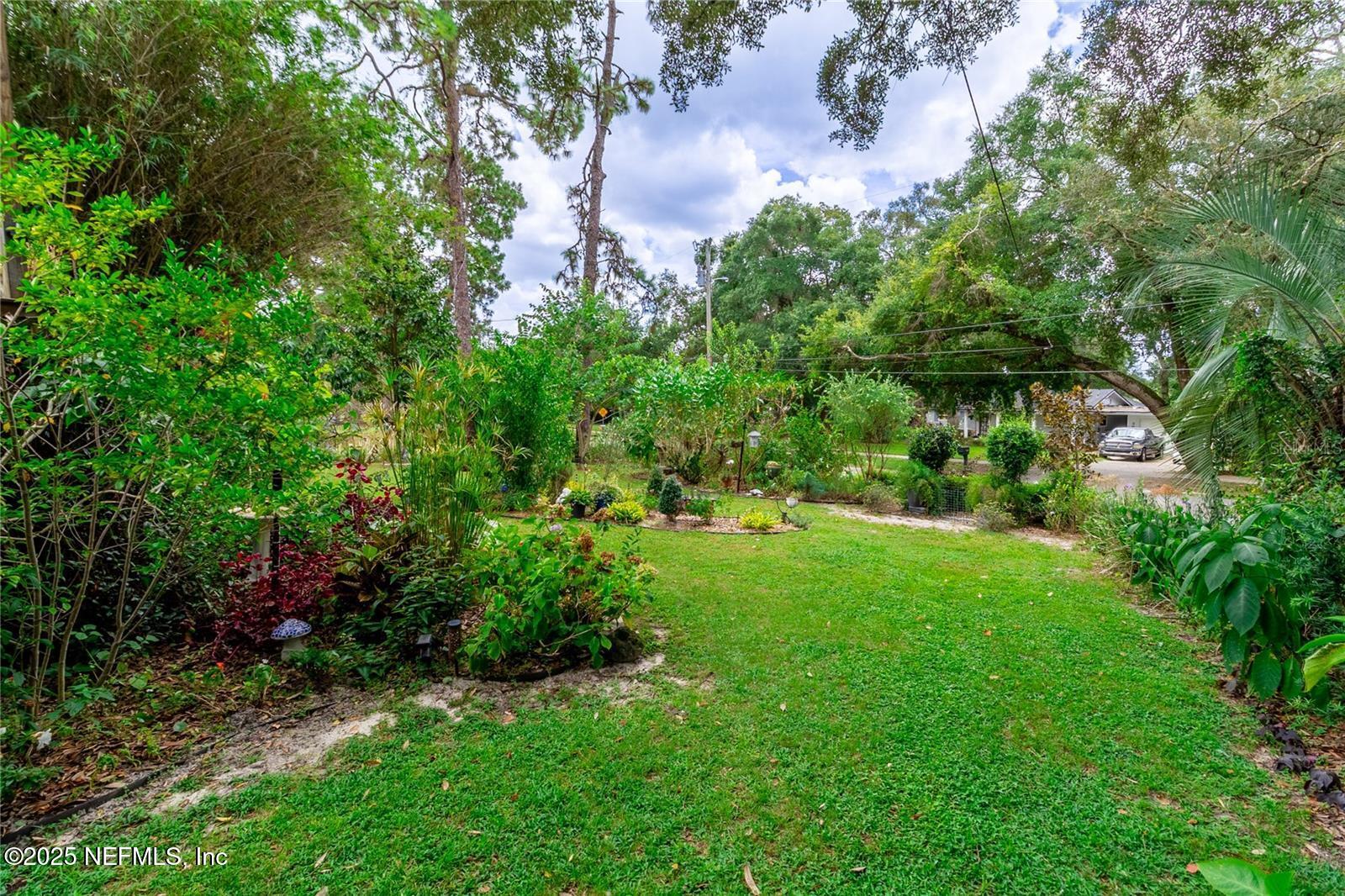 560 LIVE OAK AVENUE Avenue