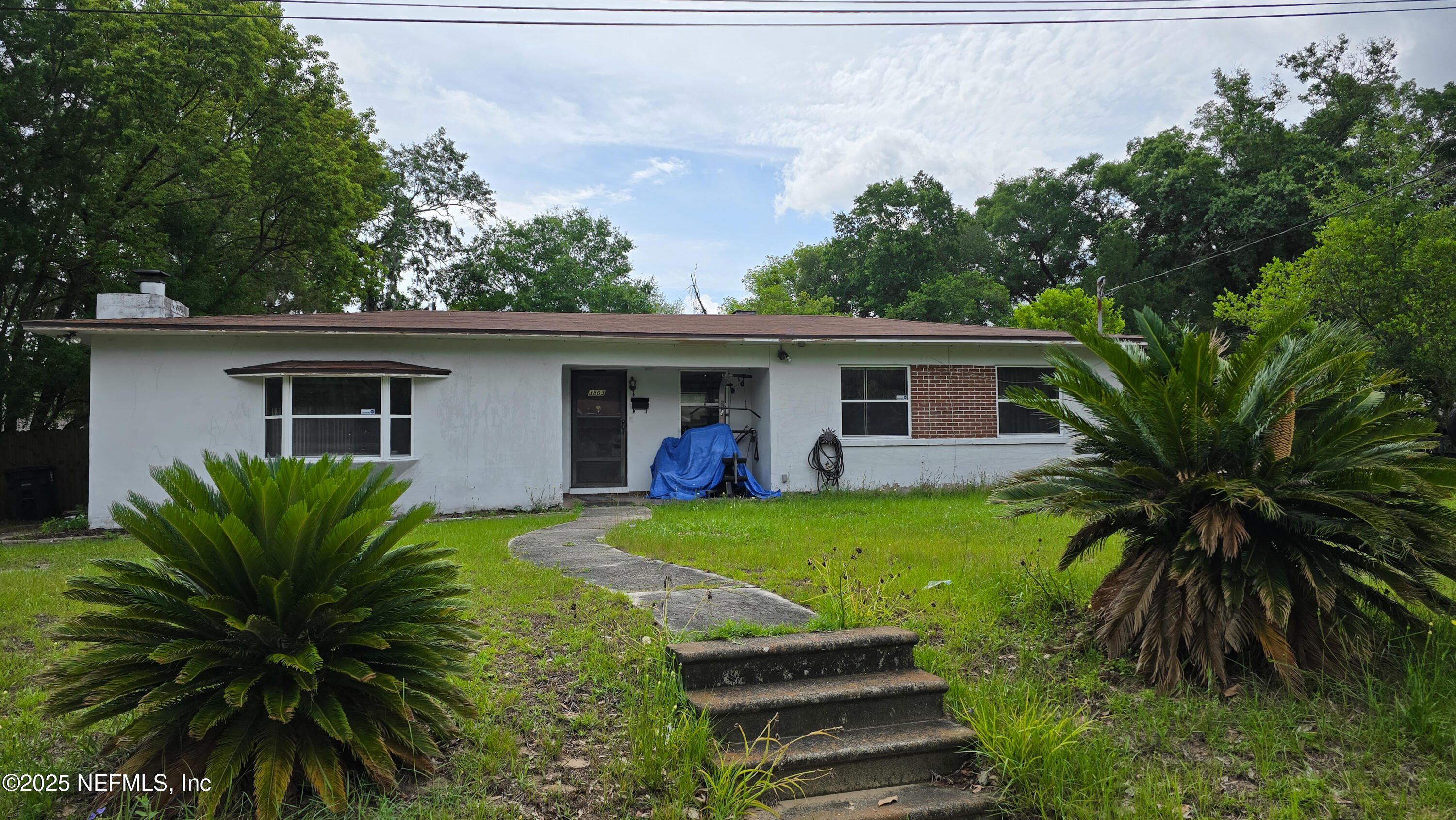 3503 WINDY HILL Place