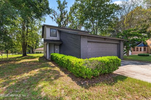 2607 SANDY HOLLOW Drive Middleburg FL 32068