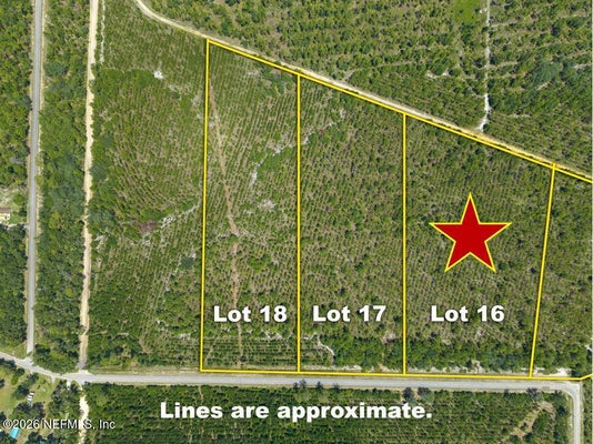 LOT 16 E HILLSBOROUGH AVENUE, FLORAHOME, FL 32140 - Image bdbb3ddb10dec66f6765a4bccb5a8e8d/1000360664