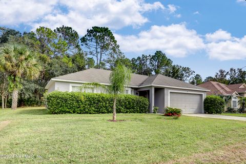 A home in Palm Coast