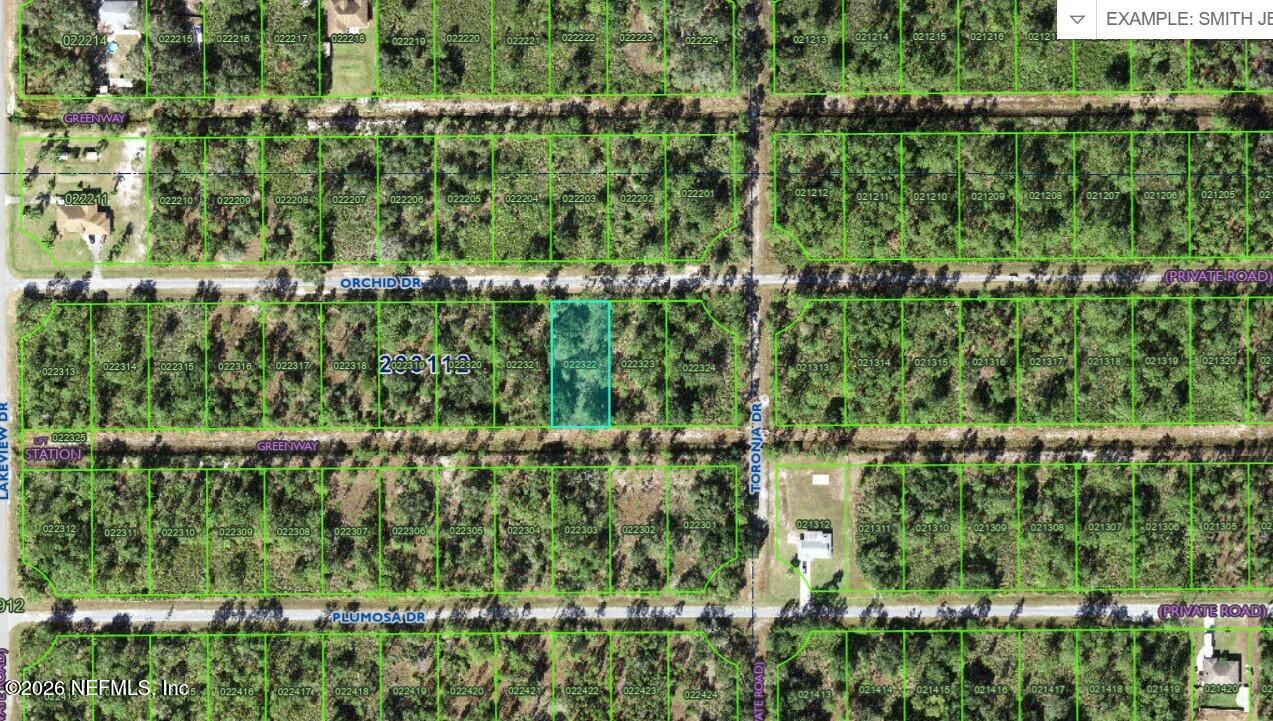 905 ORCHID Drive