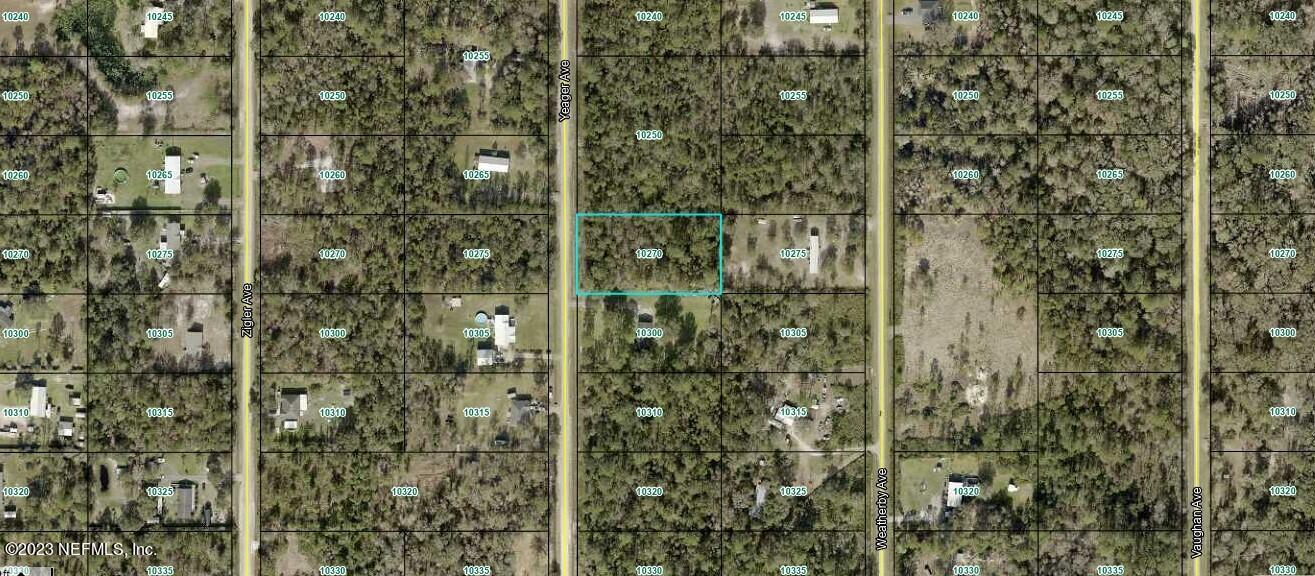 Hastings, FL home for sale located at 10270 YEAGER Avenue, Hastings, FL 32145