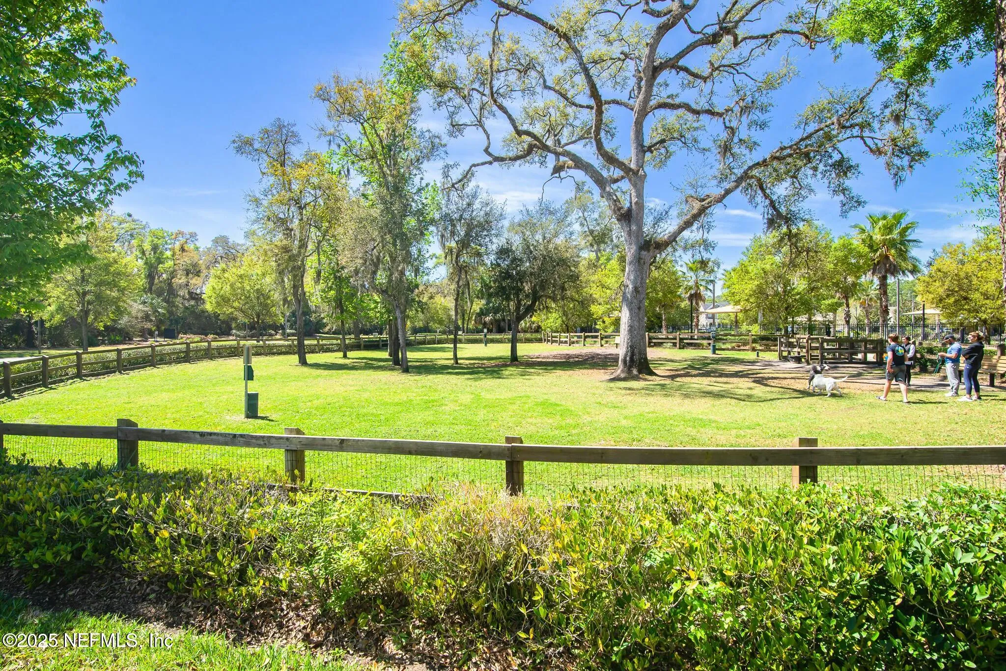 Ponte Vedra, Florida 32081, United States, 3 Bedrooms Bedrooms, ,3 BathroomsBathrooms,Residential,Active,8517