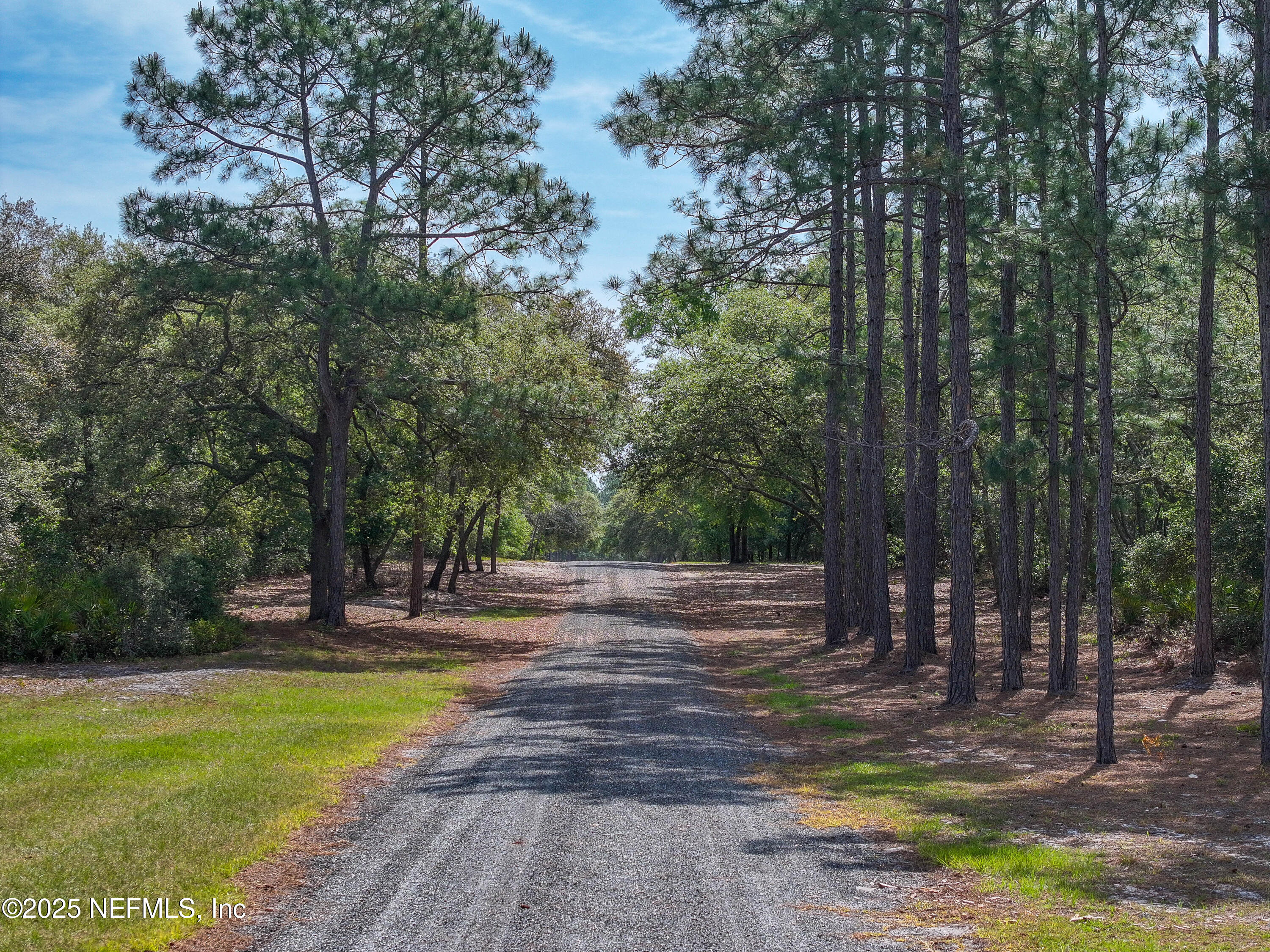 8115 ODOM RNCH Trail