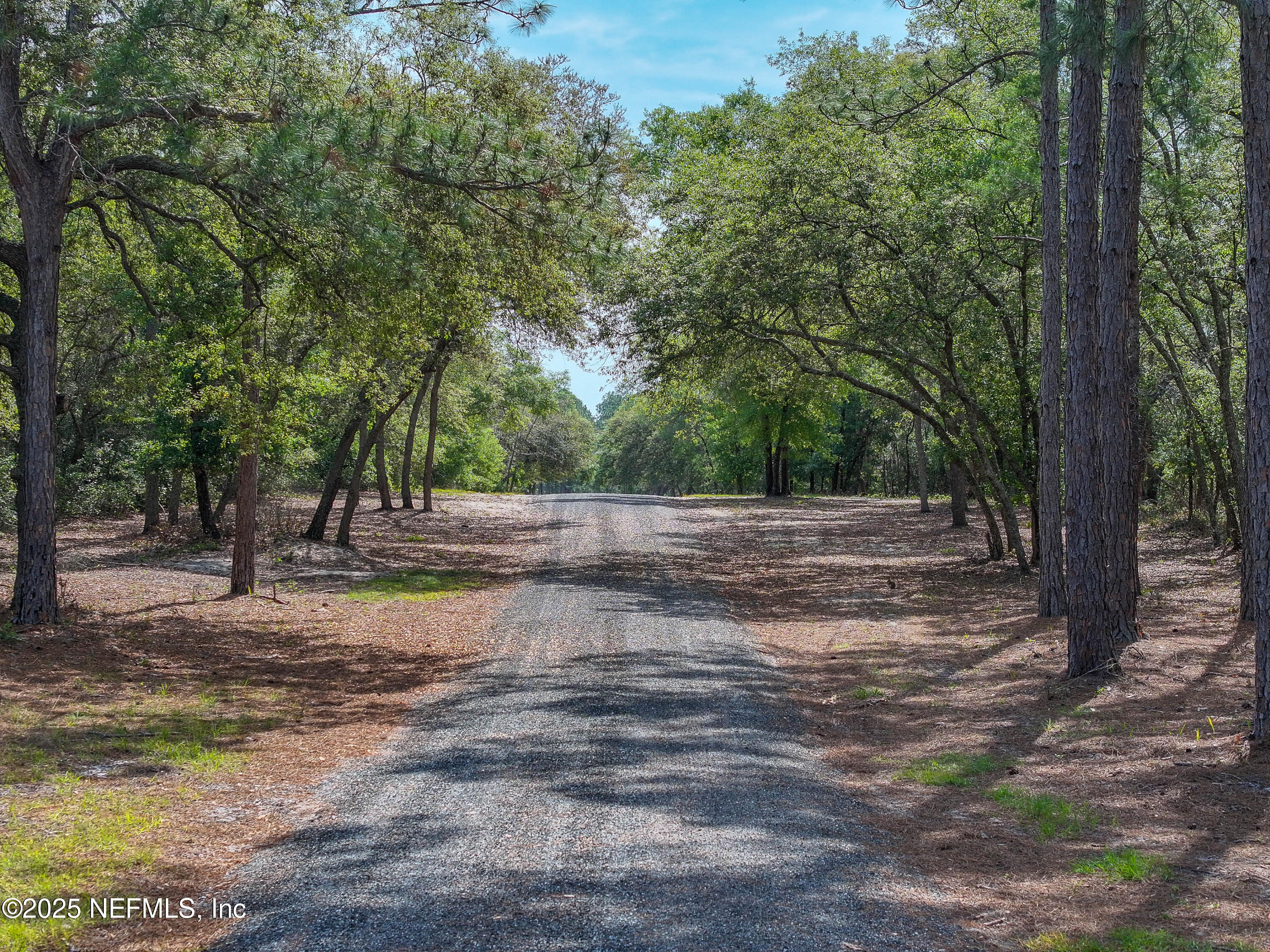 8115 ODOM RNCH Trail