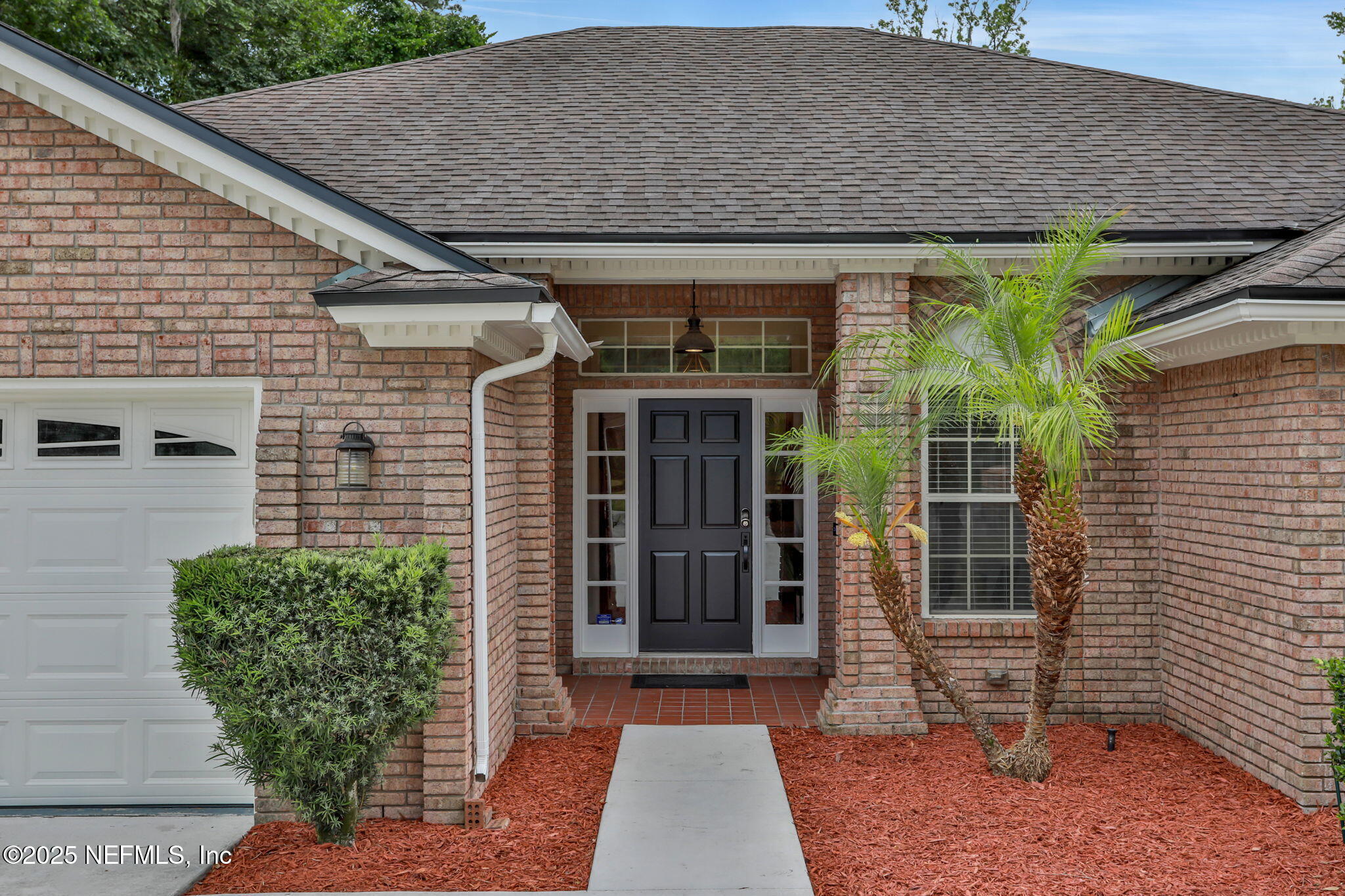 12847 SWAMP OWL Lane