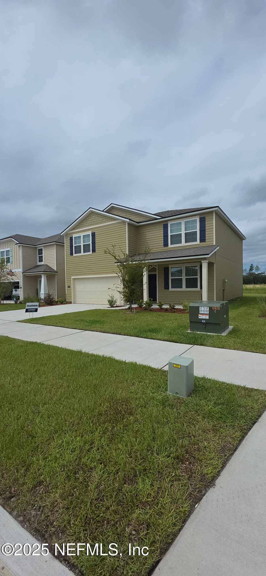 12627 RUBBER FIG Terrace