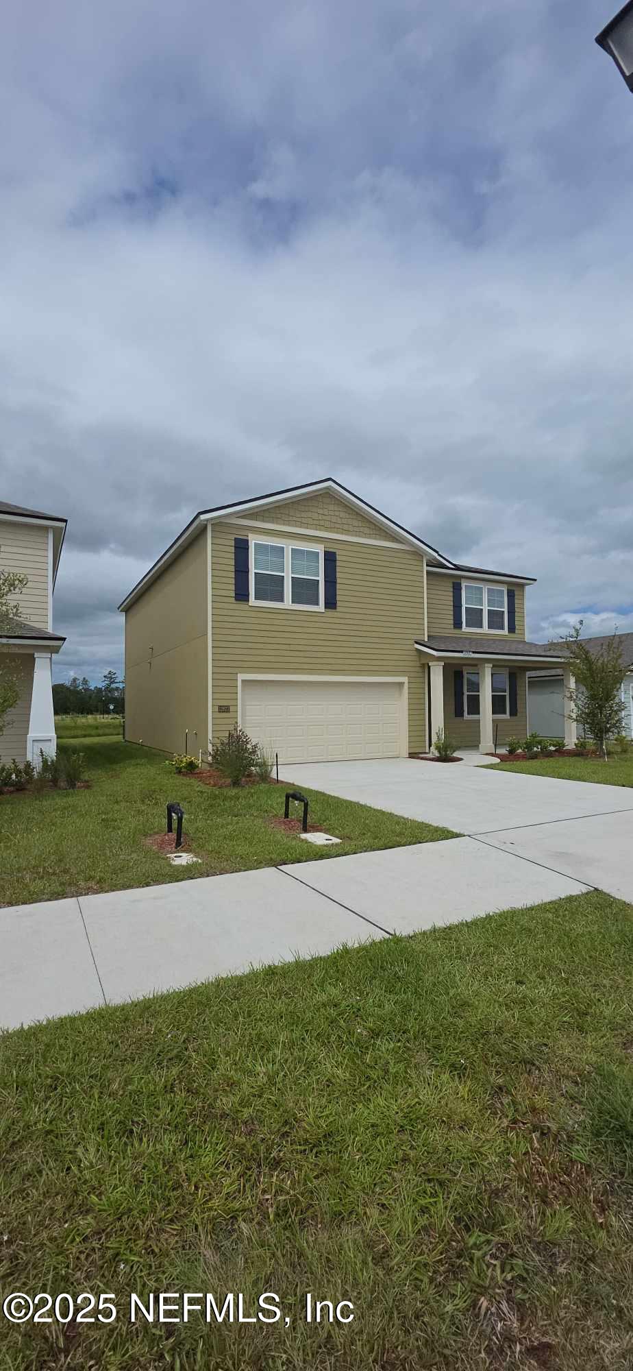 12627 RUBBER FIG Terrace