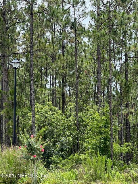 00 ROYAL PINES Drive Middleburg FL 32068