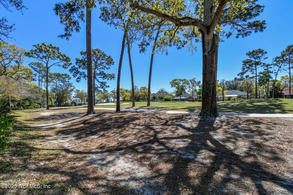 listing image 87